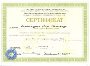 Аида Ермековна сертификат 002