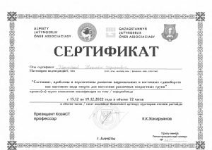 ЖЖИ сертификат-page-00001