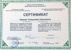 Сертификат_Проф_комп_педагога_page-0001 (2)