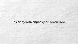 WhatsApp Image 2025-09-11 at 16.26.56