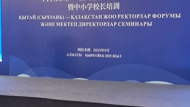 WhatsApp Image 2025-09-24 at 13.17.36