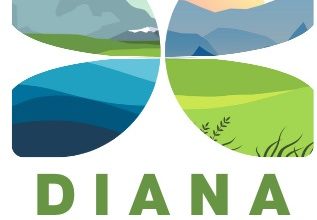 WhatsApp Image 2025-11-14 at 11.16.21