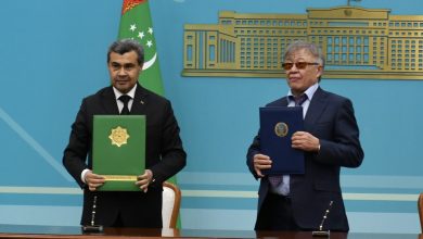 WhatsApp Image 2025-11-27 at 17.49.55 (1)