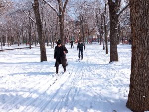 WhatsApp Image 2026-03-02 at 16.11.21